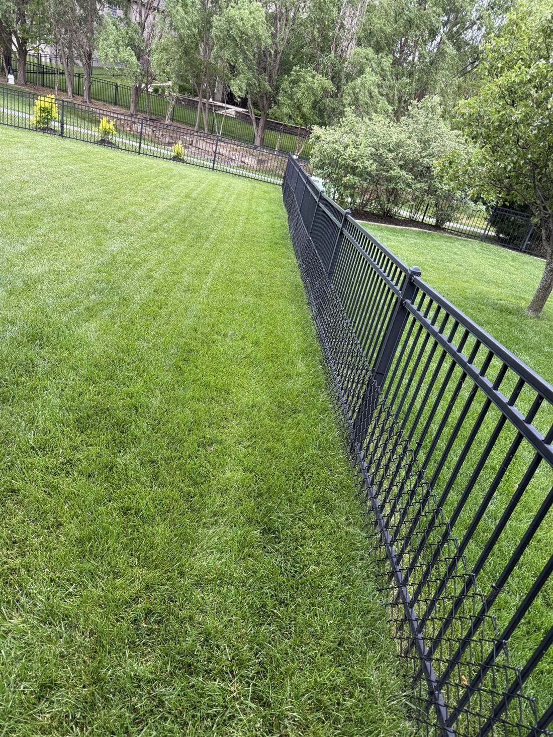 Ornamental steel fence