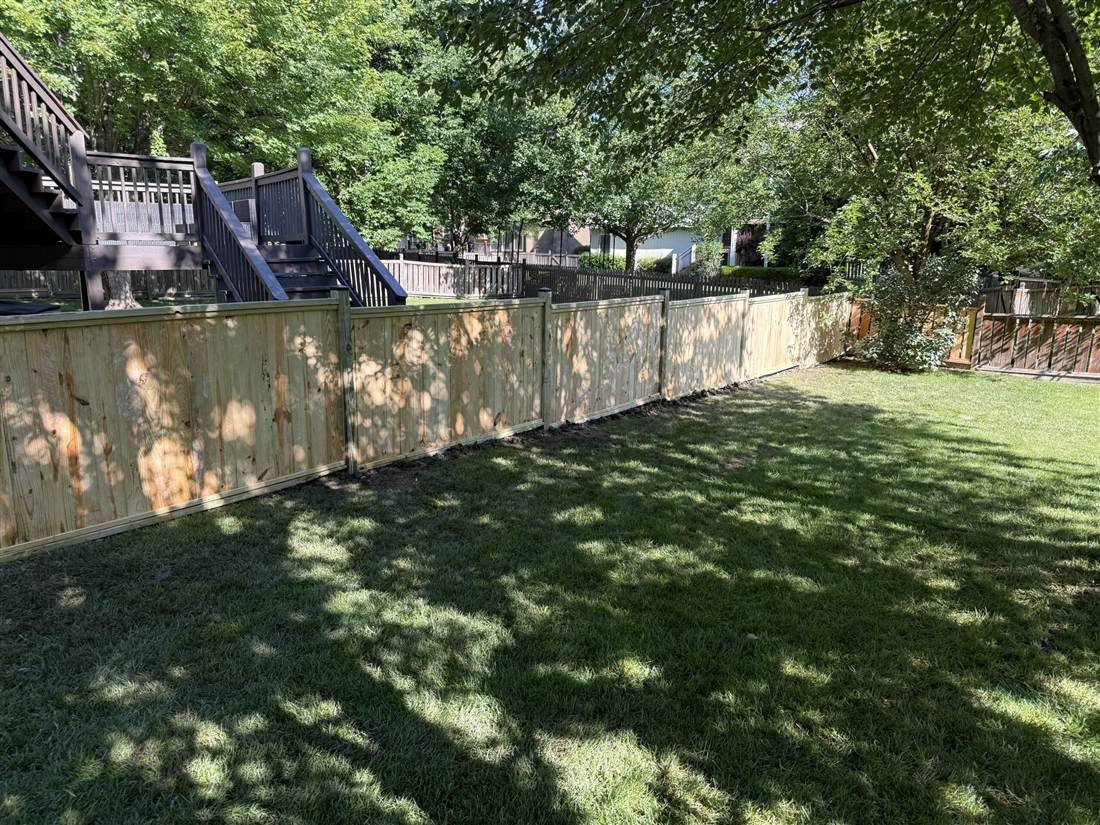 Treated pine fence
