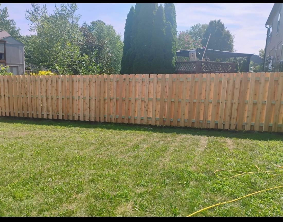 Professional cedar fence build